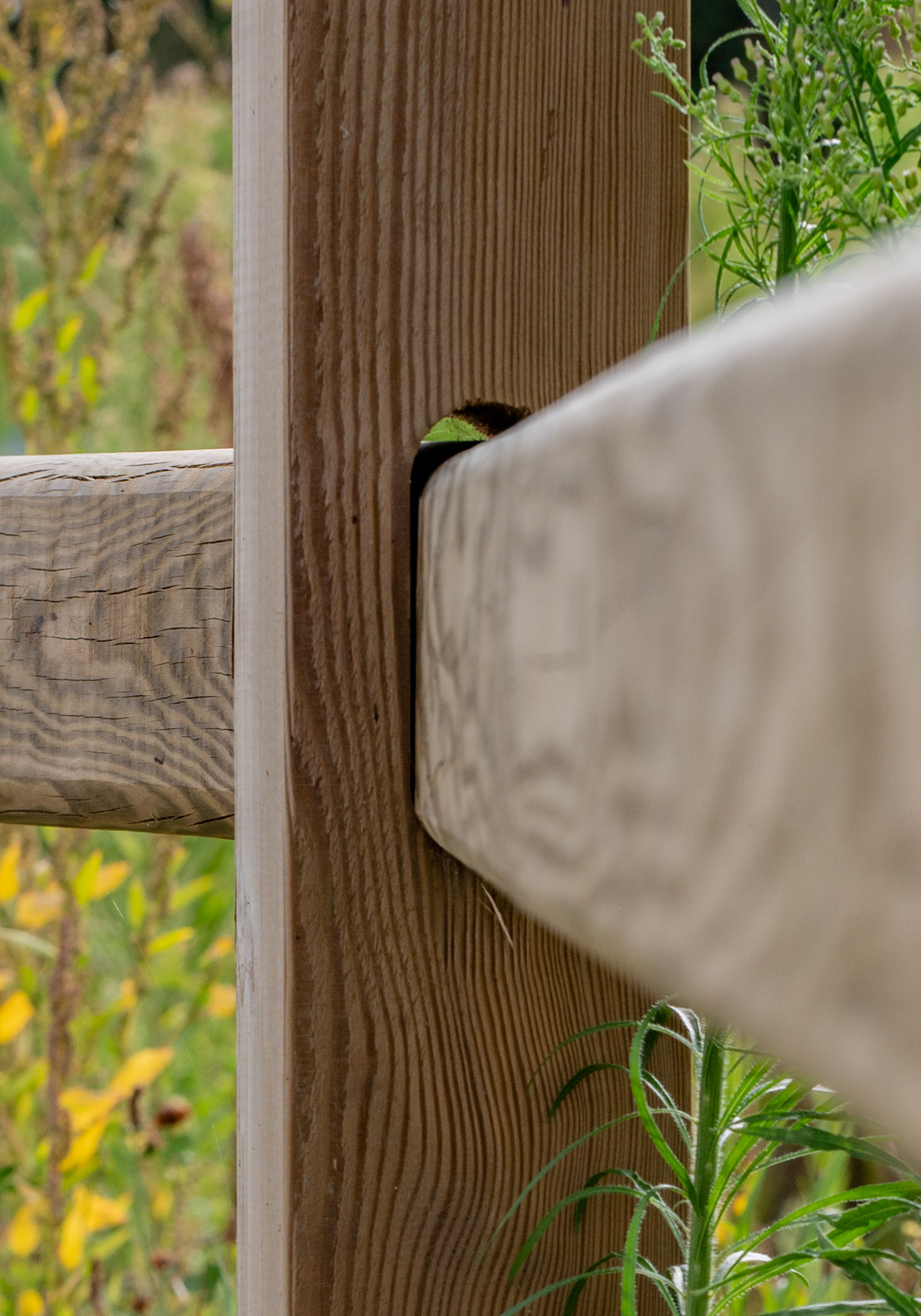 Detail ambacht